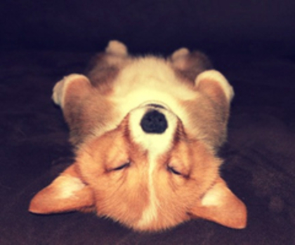 tumblr_mg5a0pdjak1r90c1go1_500_thumb - xo_Caini_xo