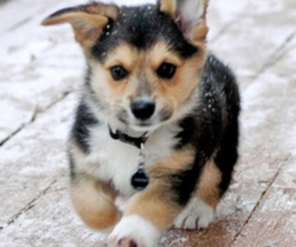 tumblr_mg5a0y2c3k1r90c1go1_500_thumb - xo_Caini_xo