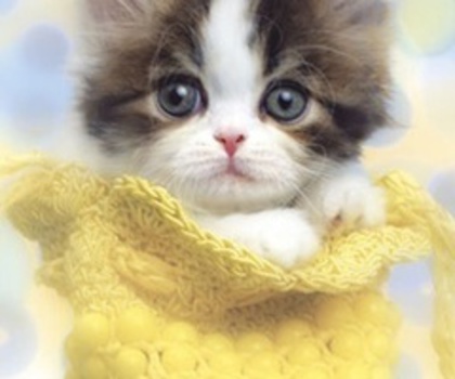 178947785164131803_jazrKhW9_c_thumb