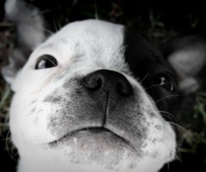 tumblr_mg59wrIqak1r90c1go1_500_thumb - xo_Caini_xo