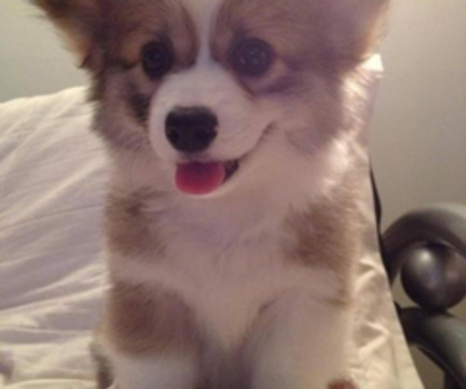 tumblr_mg59ychn811r90c1go1_500_thumb - xo_Caini_xo