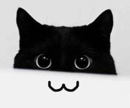 tumblr_mg3545F8dA1qioalgo1_400_thumb