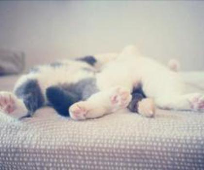 531070_551197504896606_961842122_n_thumb