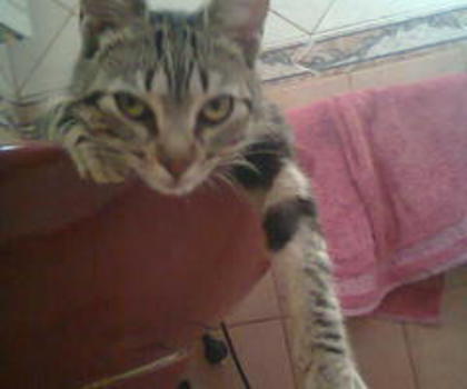 A6-fWKyCEAAVikL_thumb.jpg_large