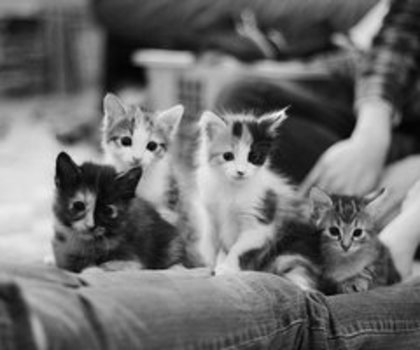 tumblr_mfho5yWZCU1rdbwzpo1_500_thumb