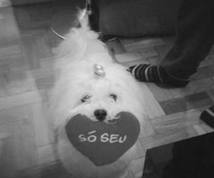 248412_439469346108159_1820310409_n_thumb - xo_Caini_xo