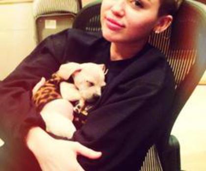 388269_415317625204584_1331711020_n_thumb - xo_Caini_xo