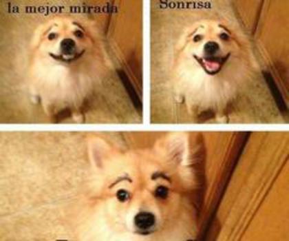 388331_492429494134268_170604415_n_thumb