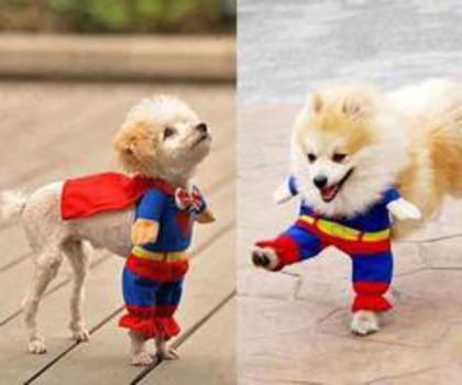 389718_10151335470631676_2103981790_n_thumb