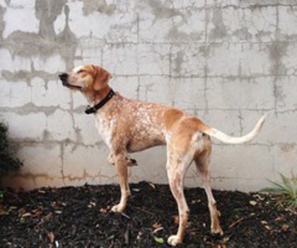 ace1e948567811e2bbd822000a9f15da_7_thumb