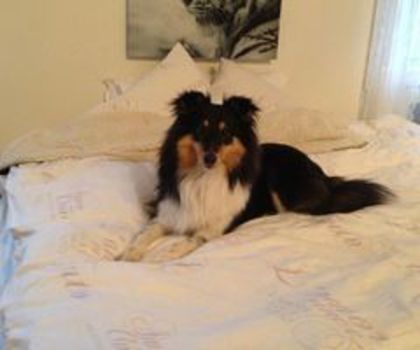 img_0601_50e6ee439606ee4c288d26a9_thumb