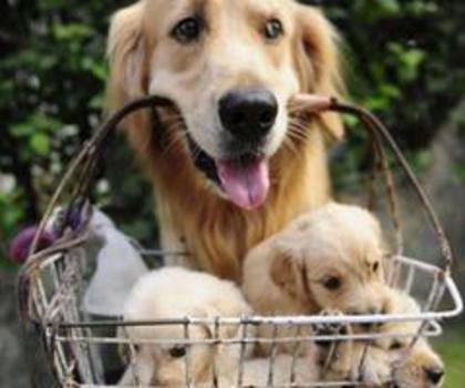 tumblr_mcfu08UsJx1rzffk8o1_500_thumb