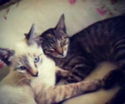 tumblr_mfm6b1SxDm1rkd5b2o1_500_thumb