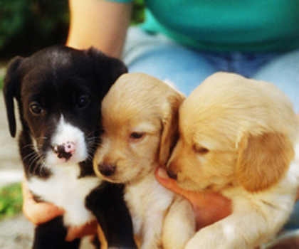 tumblr_mfnzuqxl9Z1qikf1go1_500_thumb