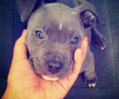 tumblr_mg4olpmEZu1rj2vtvo1_500_thumb