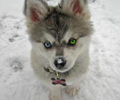 tumblr_mg4s65SnJn1rbpdoho1_500_thumb