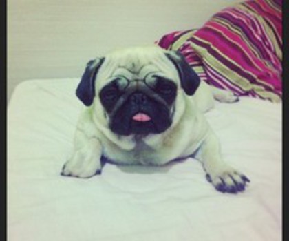 150294_10151333267783399_1730343639_n_thumb