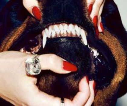 207637_516354795064071_2035997297_n_thumb