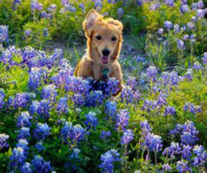 580646_386842058005167_1091913584_n_thumb