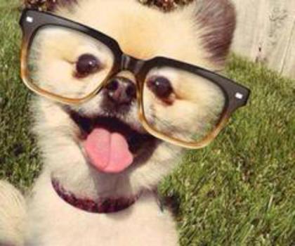 734085_475974239114842_1927074804_n_thumb