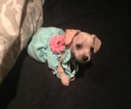 A_zWeT2CEAEu7TY_thumb