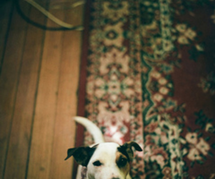 tumblr_mfzbf6ytxi1ruh4qso1_500_thumb