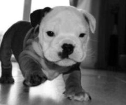 tumblr_mg4j0f84UA1rtr4c9o1_400_thumb