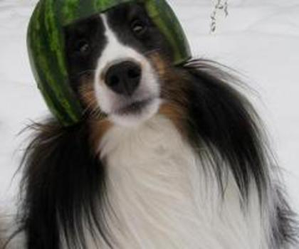 tumblr_mg3954Kwyy1ro28vuo1_500_thumb