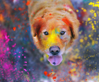 tumblr_mg15702D3m1rsm14zo1_500_thumb