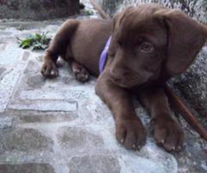 307903_287208794626536_498076755_n_thumb