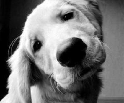 537222_355904767840379_1958674232_n_thumb