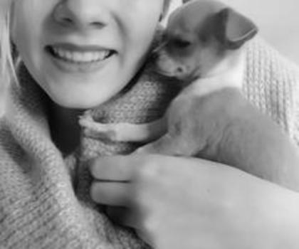 A_y_uNlCMAIDPfK_thumb.jpg_large