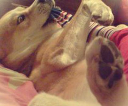 AzMgLbRCYAITkvM_thumb.jpg_large