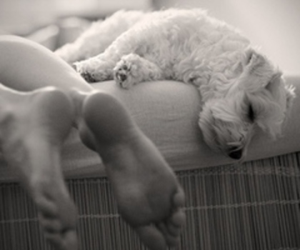 tumblr_kwxk20ORtH1qzla8ao1_400_thumb