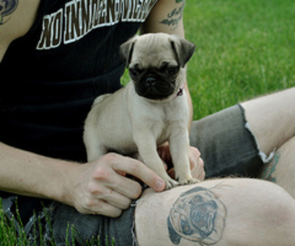 tumblr_ln60keTMe61qacnq2o1_500_thumb