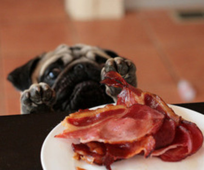 tumblr_m8rmhvaemu1qgn6feo1_500_thumb