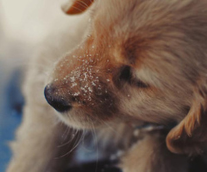 tumblr_mfvhb3qMVm1ranjxuo1_250_thumb