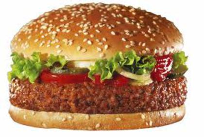 oana5 - Hamburgerul potrivit pentru tine