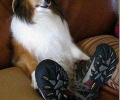 196946_395556157202079_196908218_n_thumb