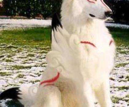 389731_384704444956141_628262276_n_thumb