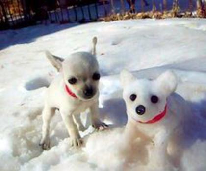 427675_452502091466063_348489324_n_thumb