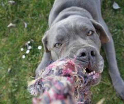 560134_421481631199004_1062915387_n_thumb