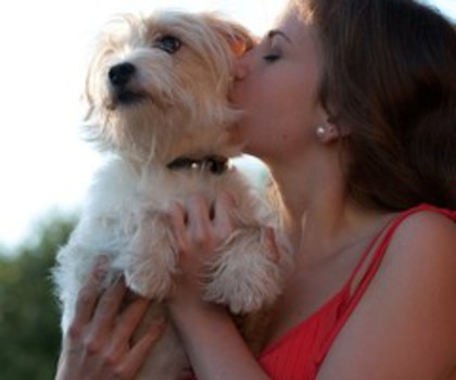 dsc_0140_505c9de8ddf2b35625002c48_thumb