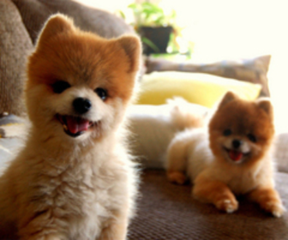 tumblr_lp7xl1kiU11qcx6bfo1_500_thumb