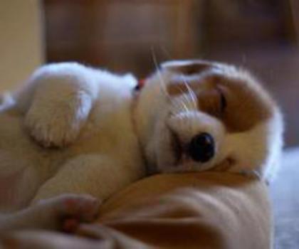 tumblr_me7d4bYTOP1rkrr5go1_500_thumb