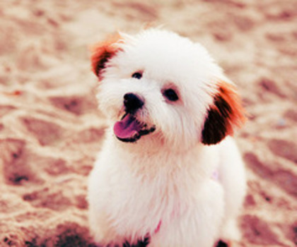 tumblr_mfz53sEAgC1rv3sfko1_400_thumb