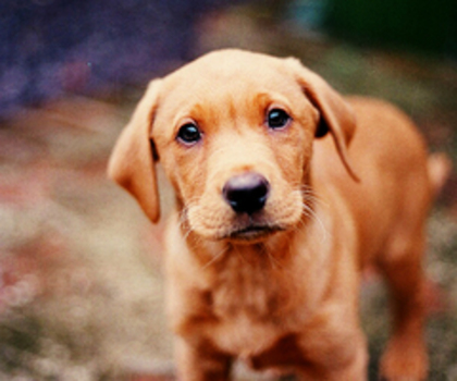 tumblr_mg0tec0HOY1rc4t14o1_500_thumb