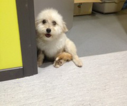 tumblr_mg2iqpG21g1rzti0po1_1280_thumb