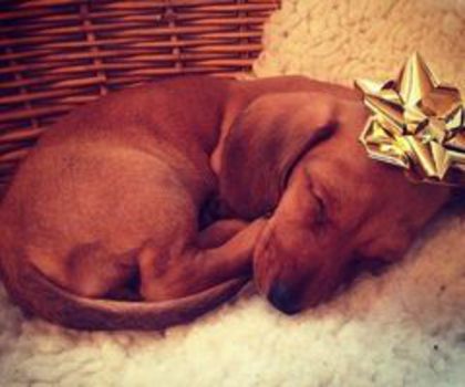 tumblr_mg3sosw8mK1rfsu62o1_500_thumb