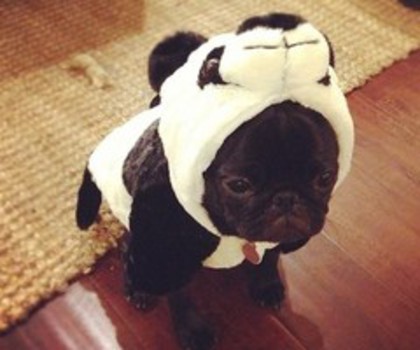 tumblr_mg04afBwui1rhis97o1_400_thumb